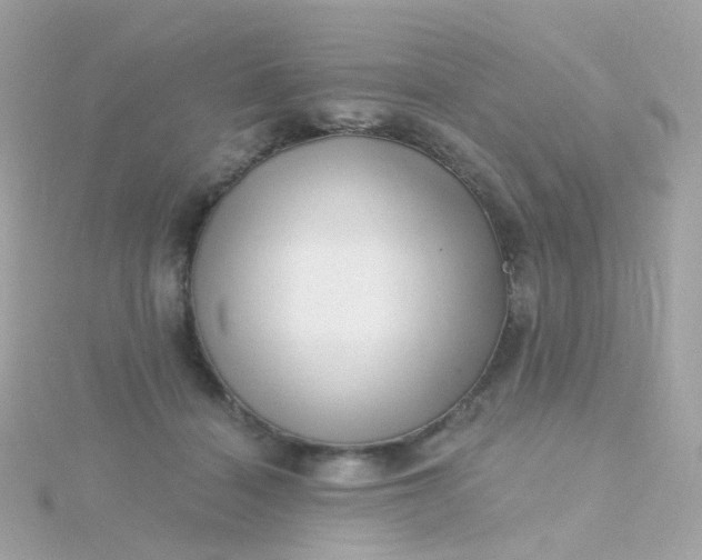 X0000115670460200911251734