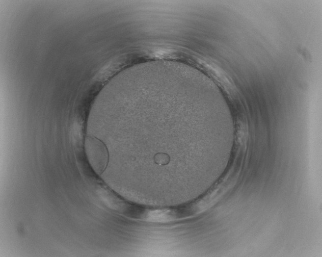 X0000115670461200911251734