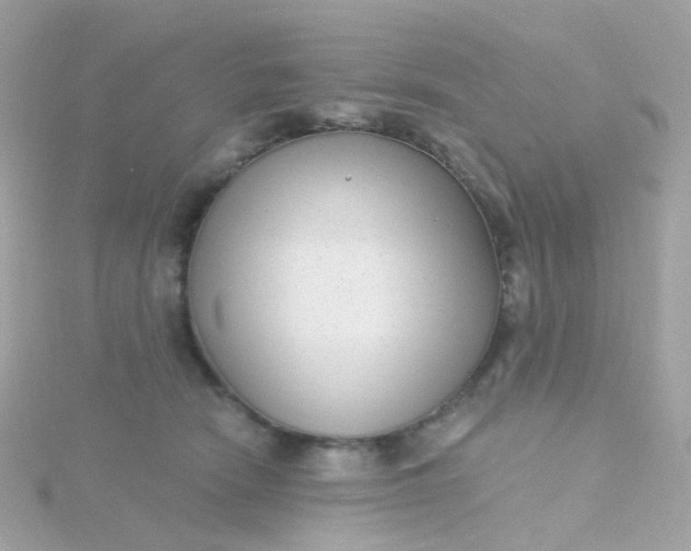 X0000115670466200911251734