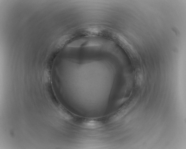 X0000115670467200911251734