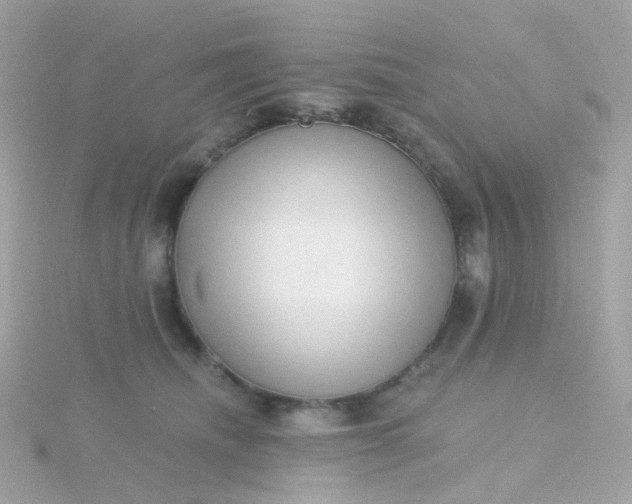 X0000115670468200911251734