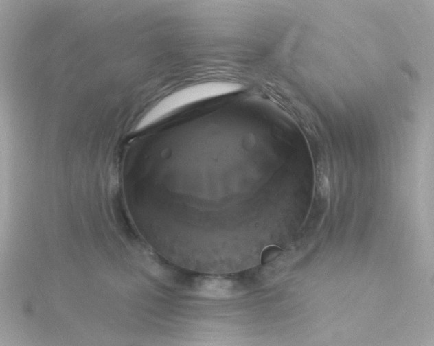 X0000115670471200911251734