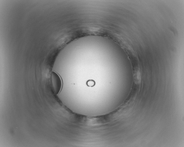 X0000115670472200911251734