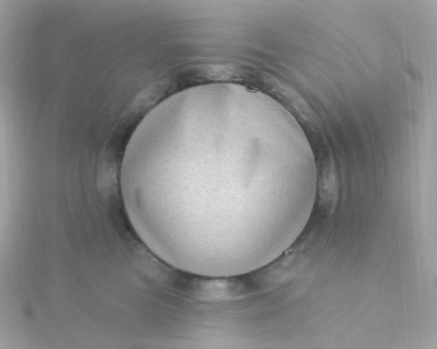 X0000115670473200911251734