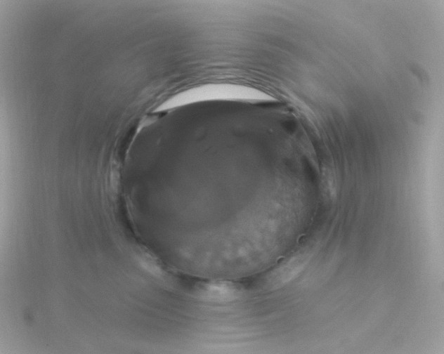 X0000115670475200911251734