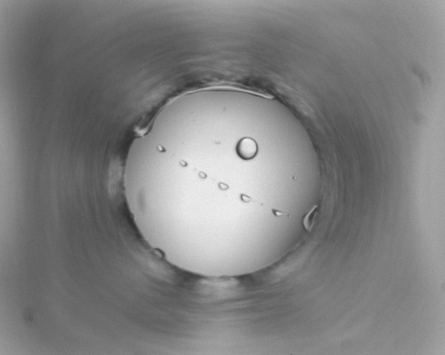 X0000115670480200911251734