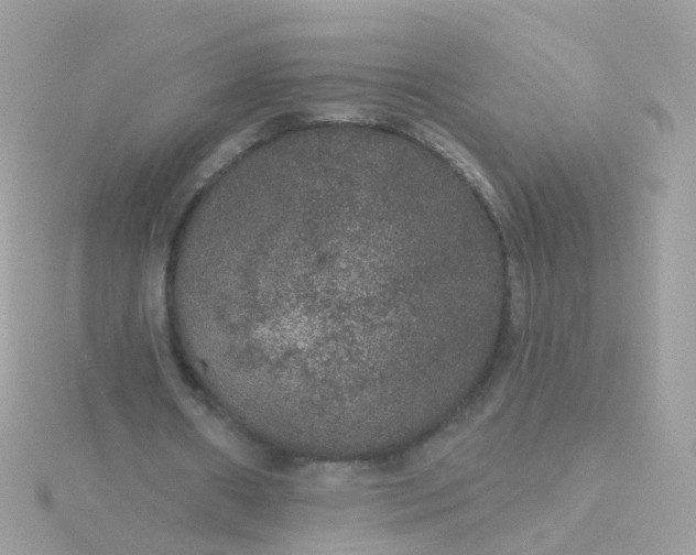 X0000115670482200911251733