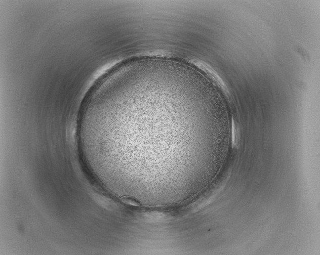 X0000115670483200911251733