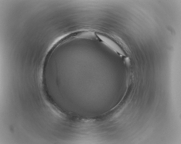 X0000115670484200911251733