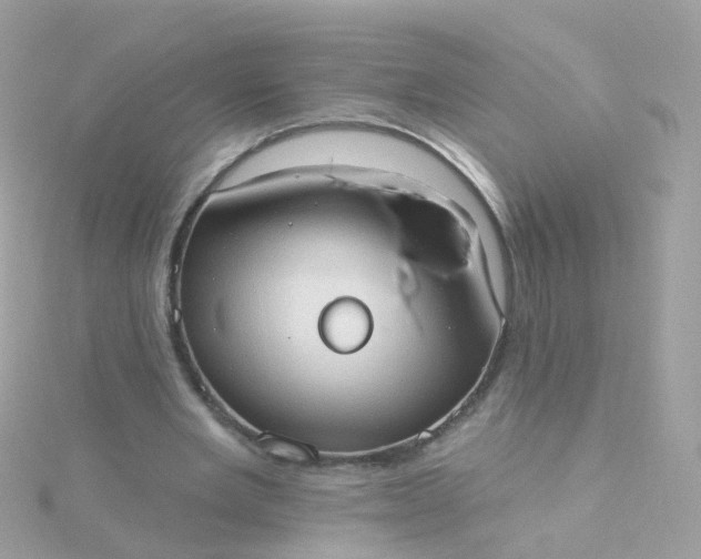 X0000115670485200911251733