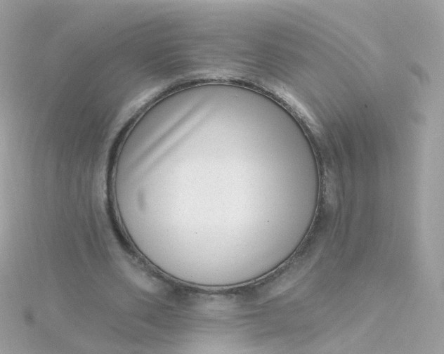 X0000115670486200911251733