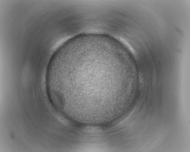 X0000115670487200911251733