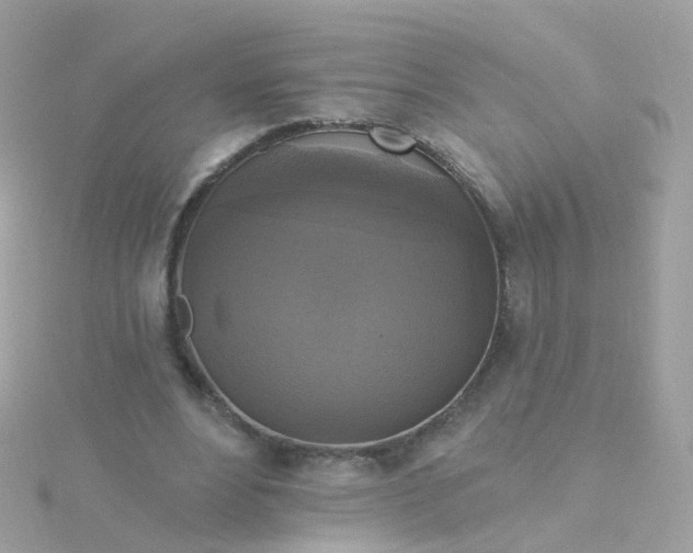 X0000115670488200911251733