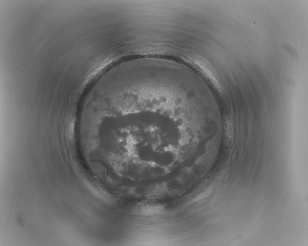 X0000115670491200911251733