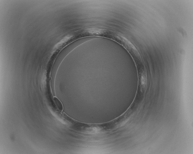 X0000115670492200911251733