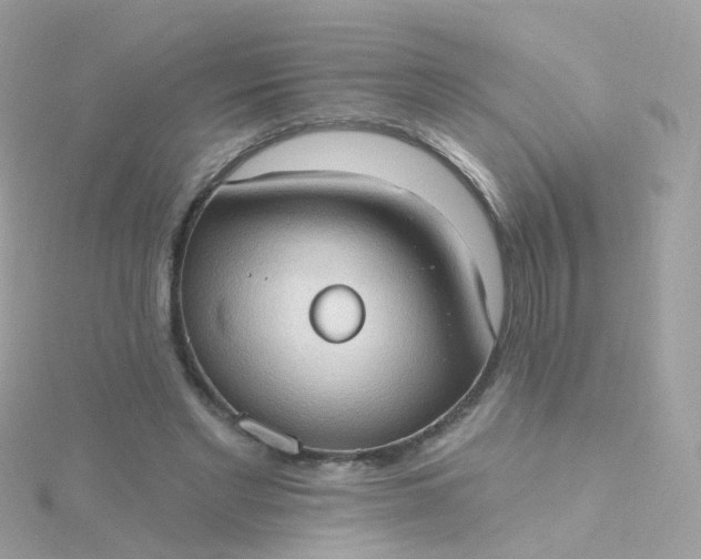 X0000115670493200911251733