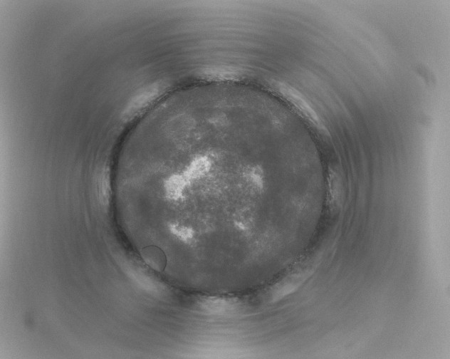 X0000115670494200911251733