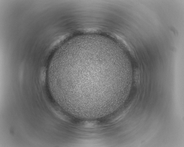 X0000115670495200911251733