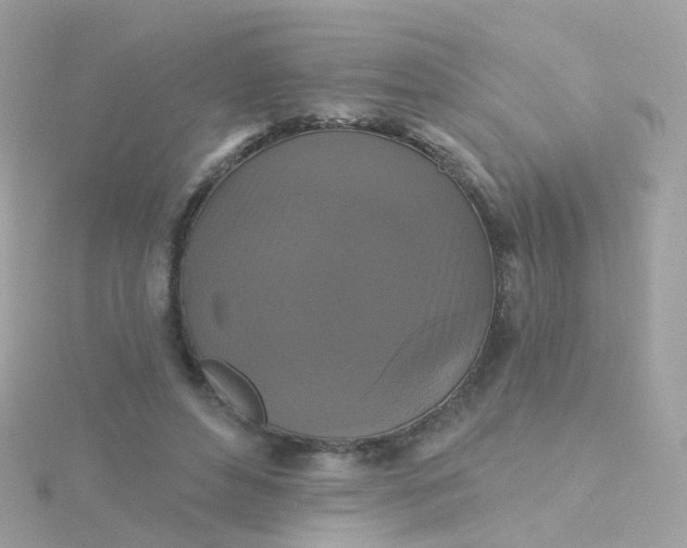 X0000115670496200911251733