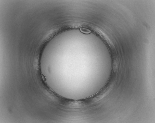 X0000115670497200911251733