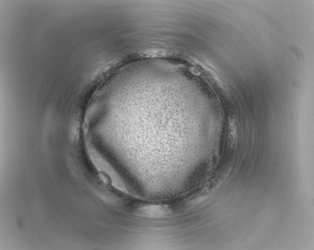 X0000115670499200911251733