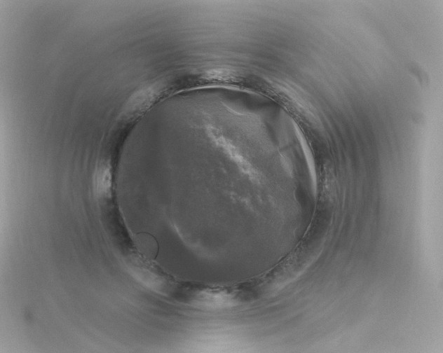 X0000115670502200911251733