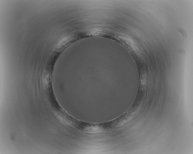 X0000115670503200911251733