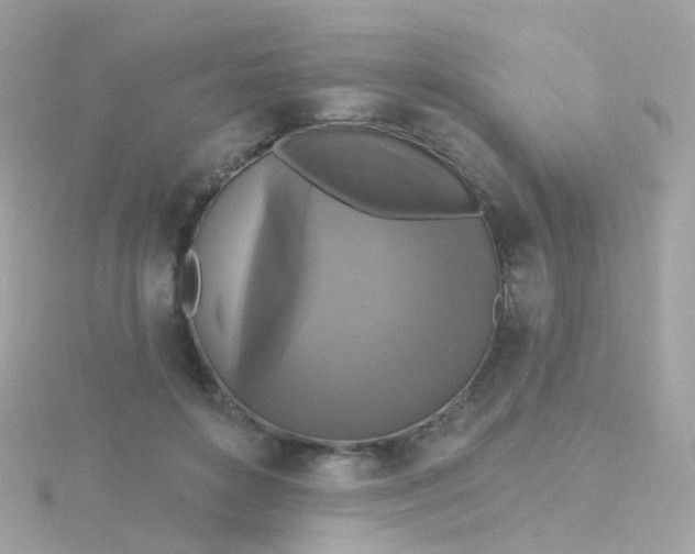 X0000115670504200911251733