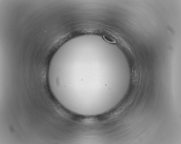 X0000115670505200911251733