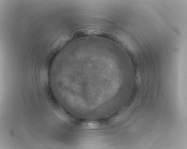 X0000115670506200911251733