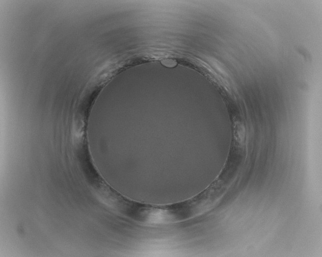 X0000115670507200911251733