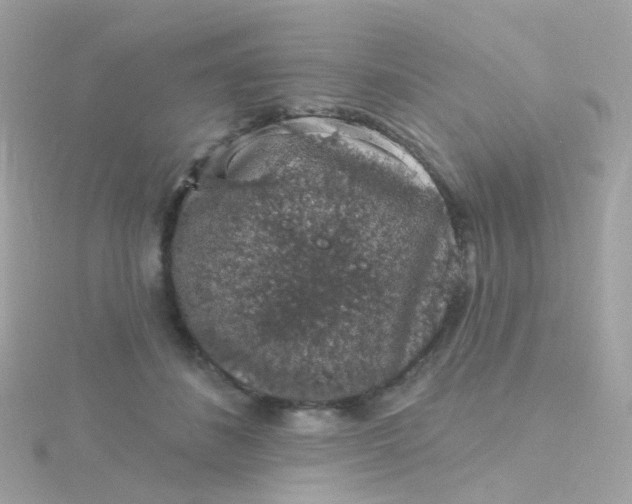 X0000115670508200911251733