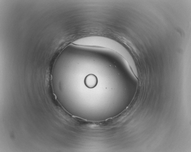 X0000115670509200911251733