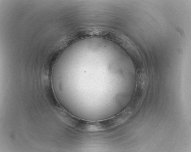 X0000115670510200911251733