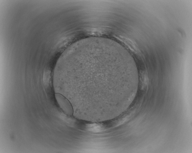 X0000115670511200911251733