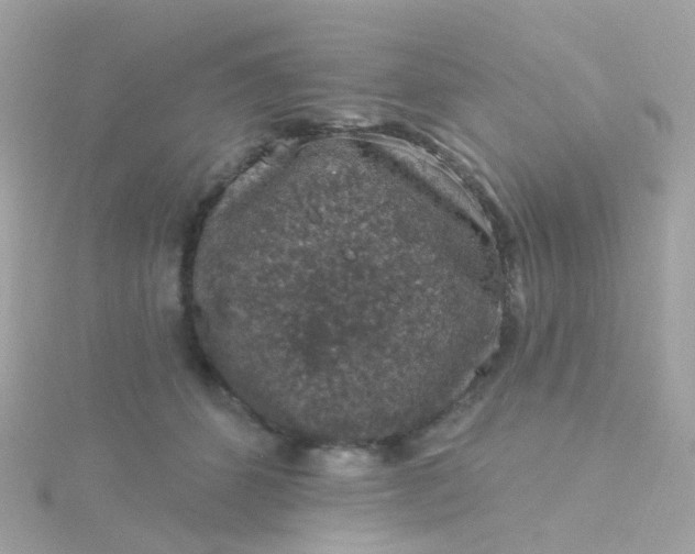 X0000115670512200911251733