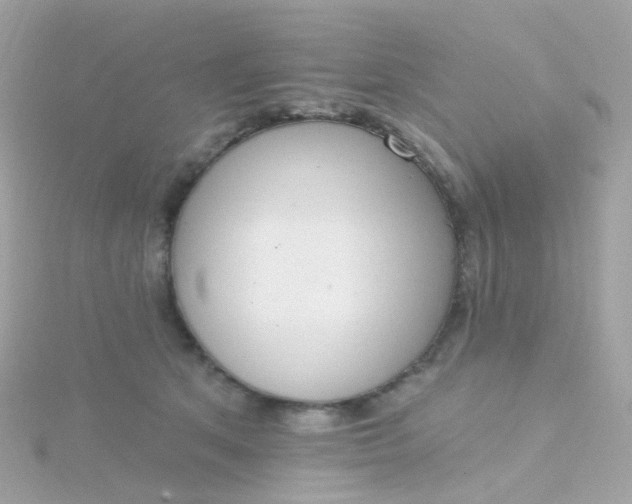 X0000115670513200911251733