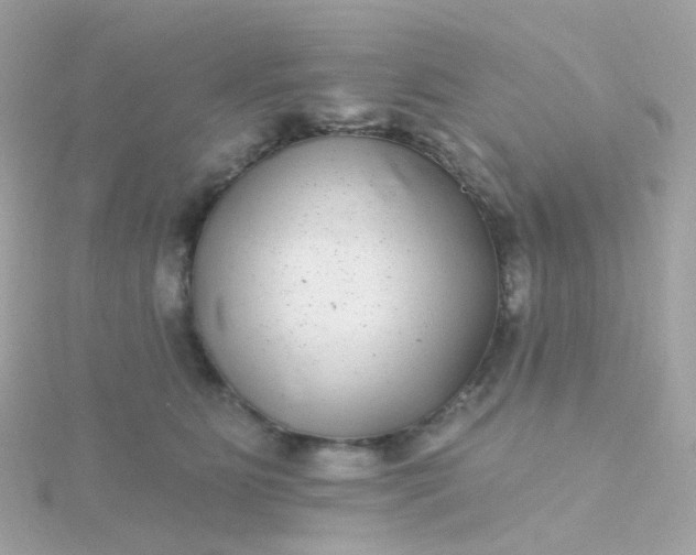 X0000115670515200911251733