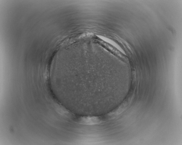 X0000115670517200911251732