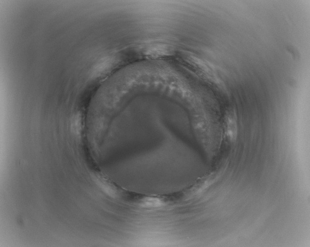 X0000115670519200911251732