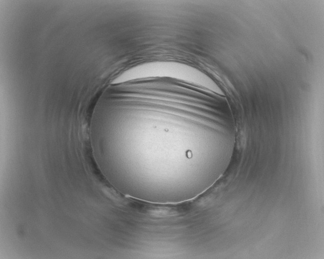 X0000115670521200911251732