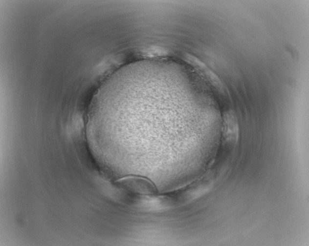 X0000115670523200911251732