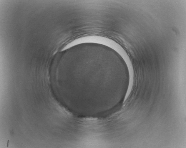 X0000115670524200911251732