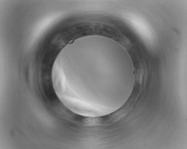 X0000115670526200911251732