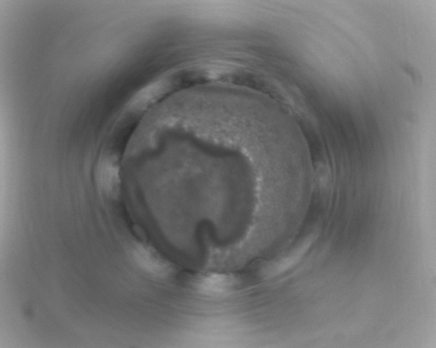 X0000115670527200911251732