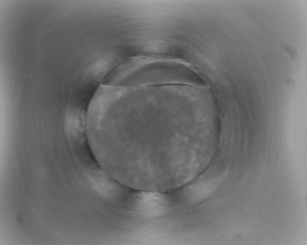 X0000115670528200911251732