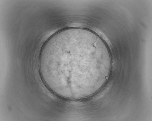 X0000115670529200911251732