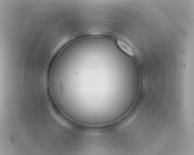 X0000115670530200911251732