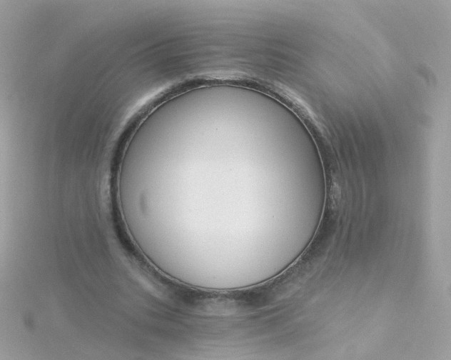 X0000115670535200911251732