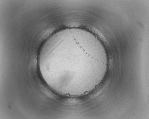 X0000115670541200911251732